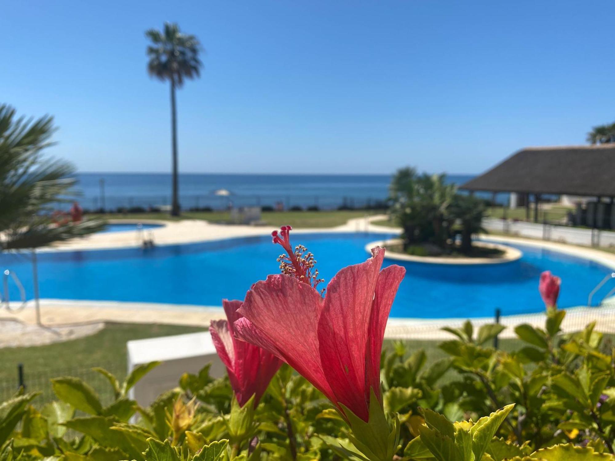 Frontline Beach Ground Floor With Privet Garden, Mi Capricho 16 Mijas Exteriör bild